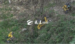 威远新闻爆料,聚焦热点事件，揭示社会真相