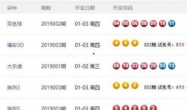 体彩今日爆料直播开奖结果,直播开奖结果揭晓，惊喜连连！”