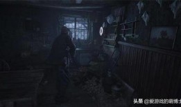 生化危机8爆料视频